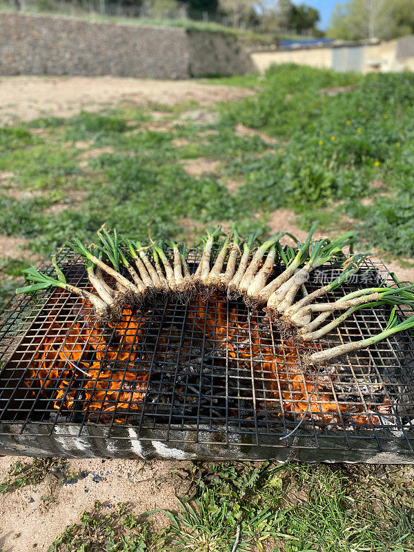 Cooking ‘calçots’ being grilled over a hot fire at home